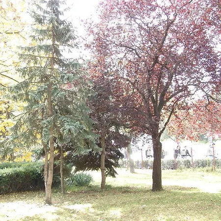 Ap Apartment Sibiu